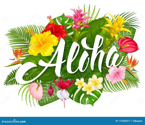 porno aloha|Aloha kanal – Kostenlose Pornovideos und kostenlose Sexfilme。